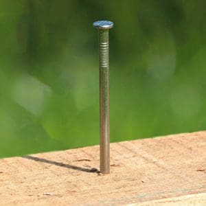 Stainless Steel Nails